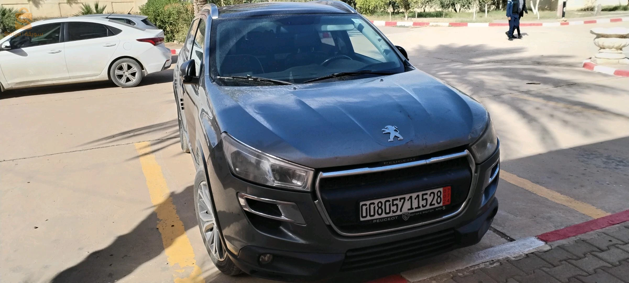 عيطلو 260