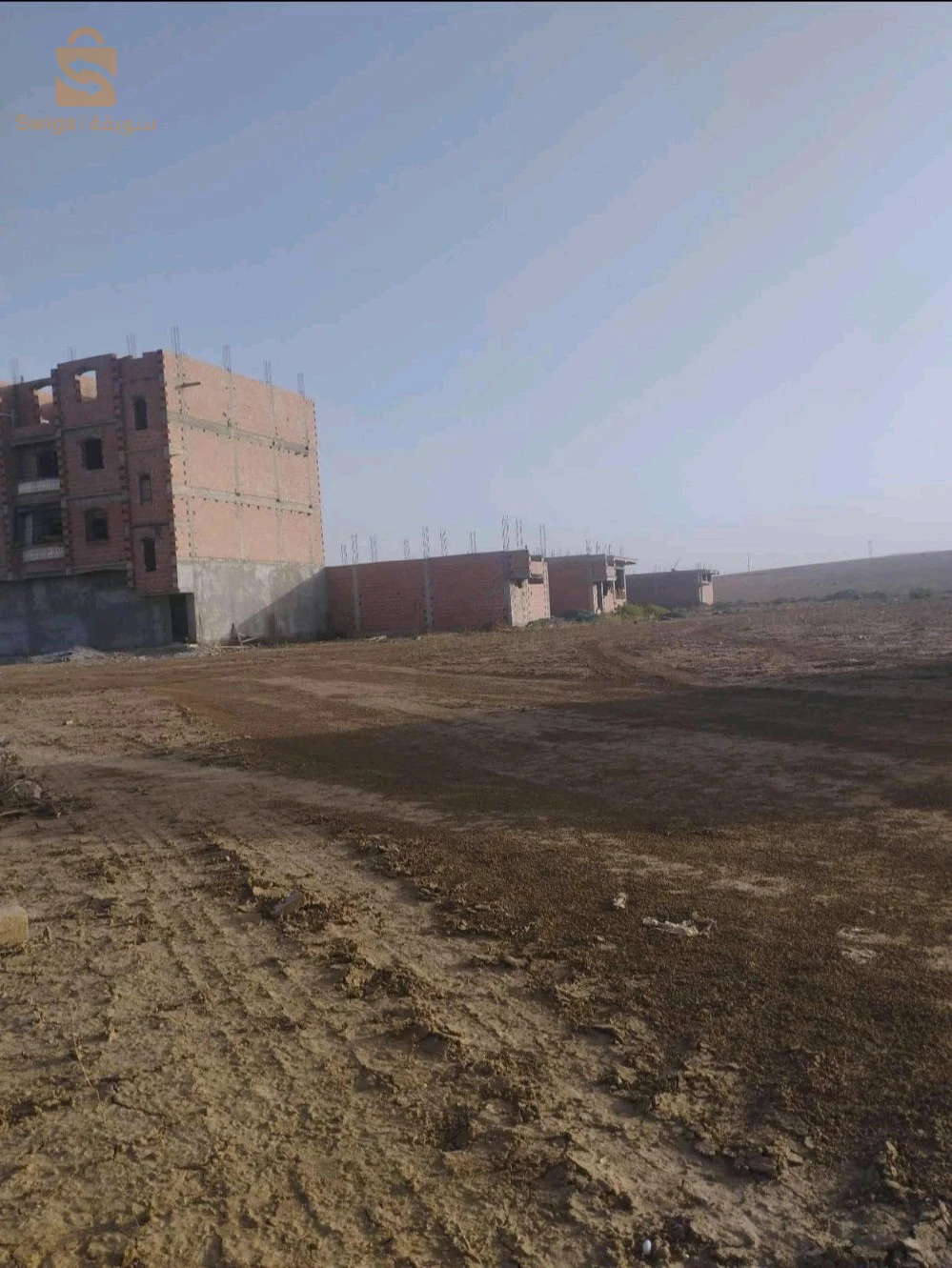 طريق تازولت ولاية باتنة