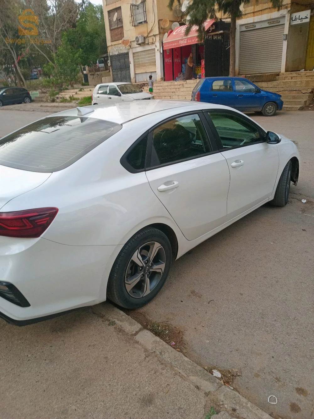 cerato