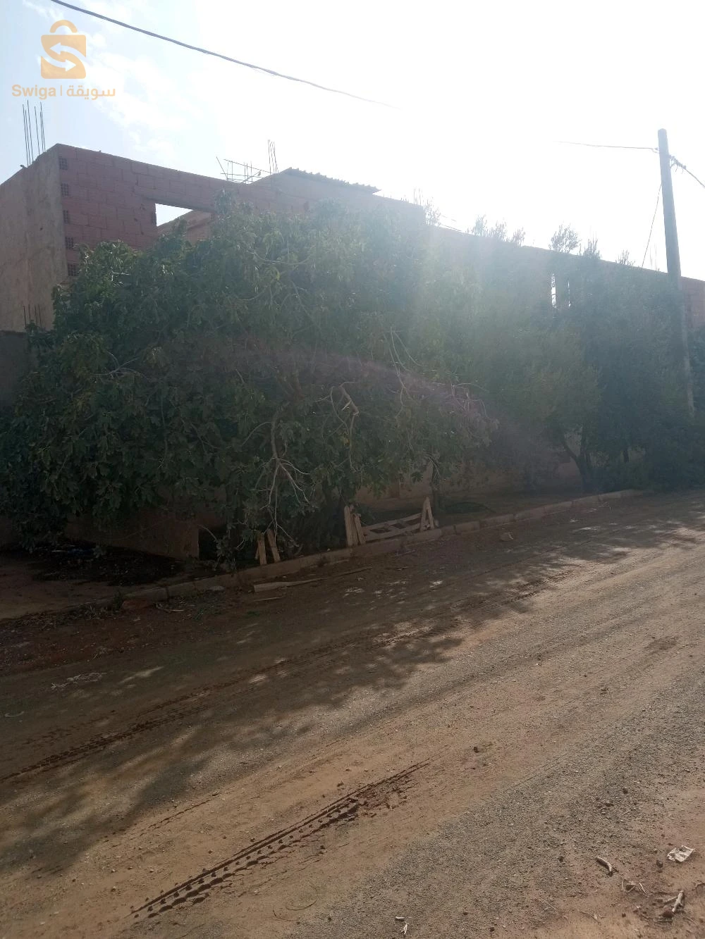 ♦️متوفر عقار صناعي بإسم شركة(SARL) للبيع أو للكراء