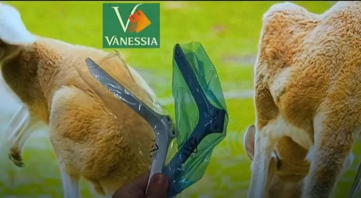 Téléviseur kiowa 32 Pouces simple