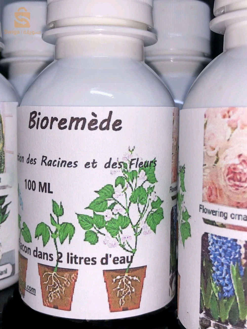 Bioremede des plantes