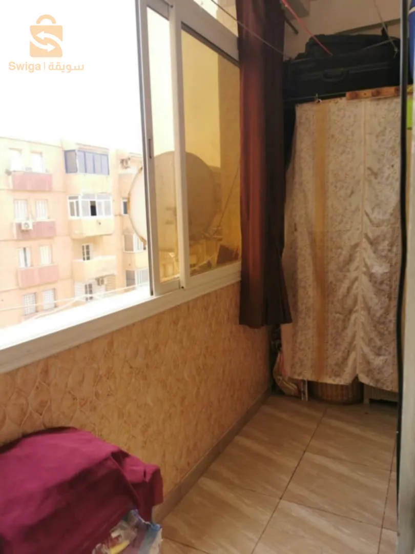 سلامندر مستغانم