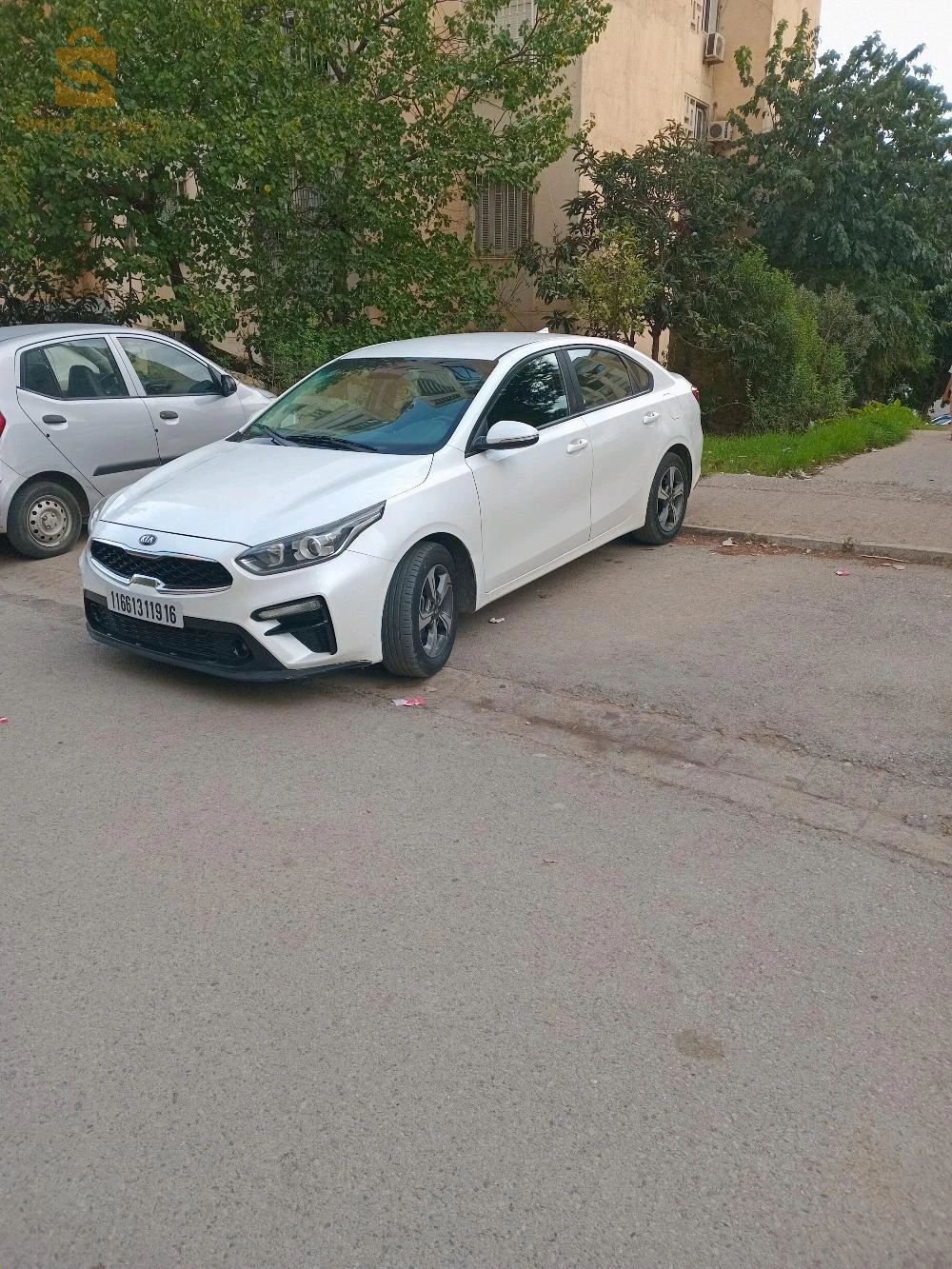cerato