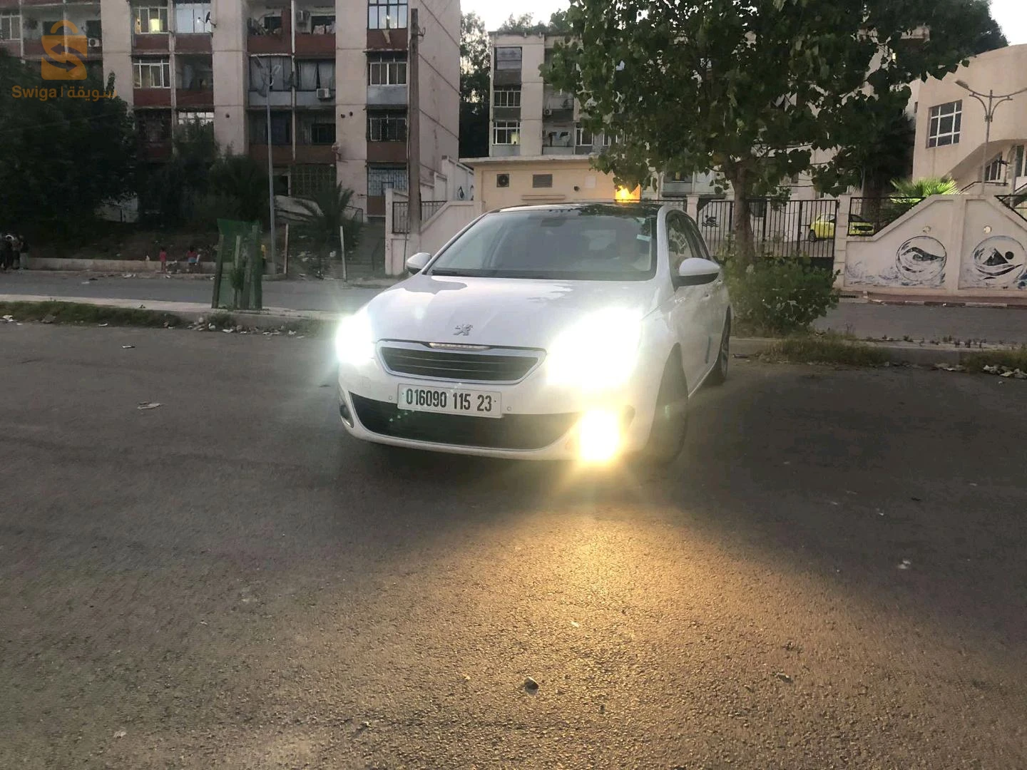 عنابة سيدي عمار