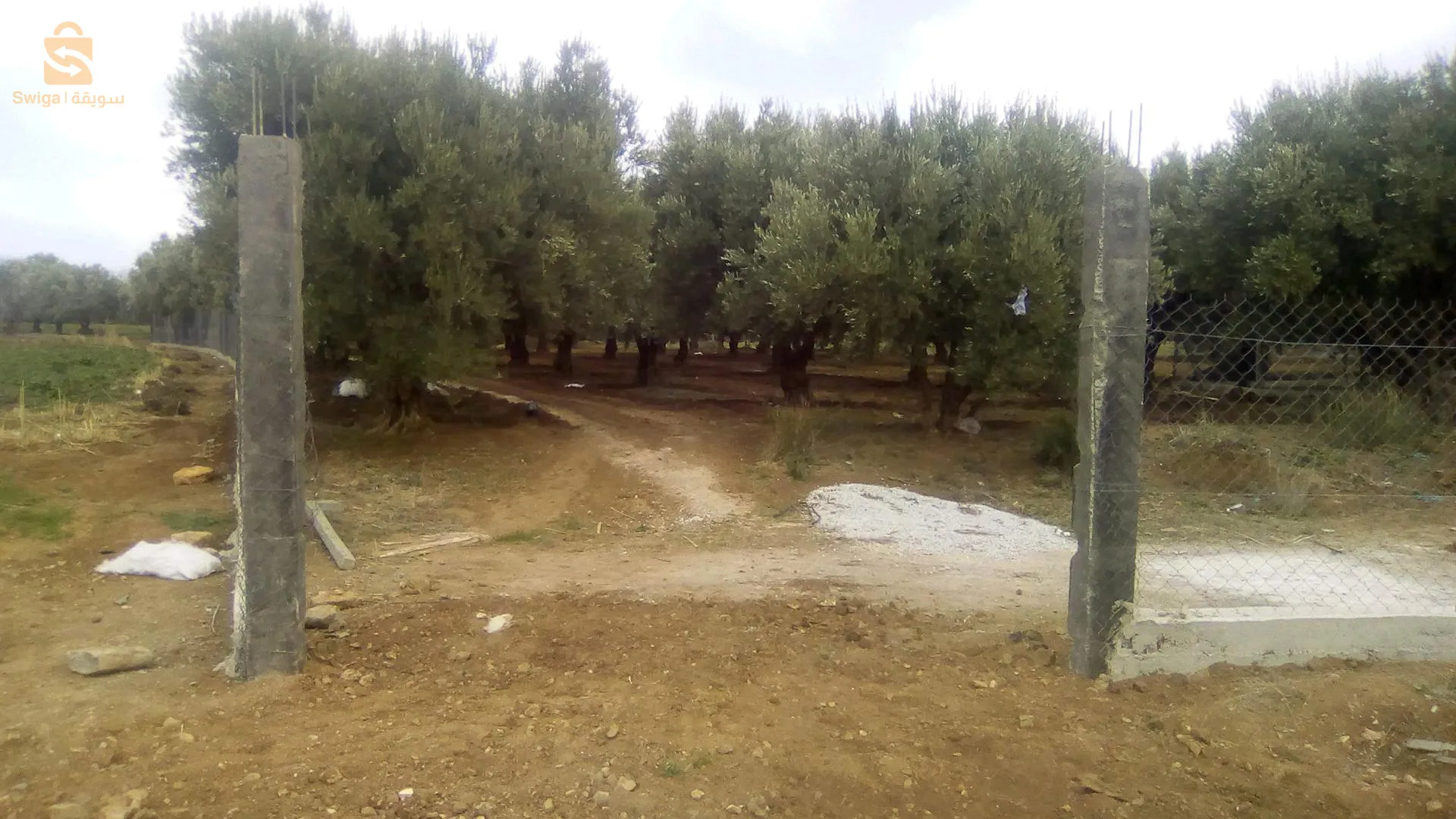 avendre terrain agricole clôturer