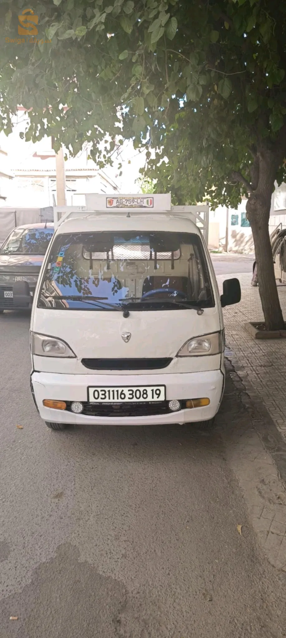 قلال 
سطيف