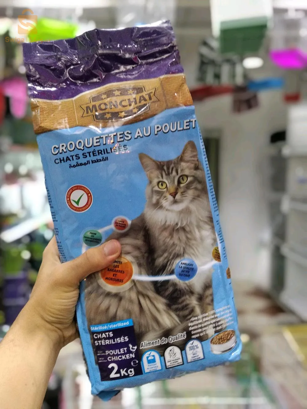 Animals kingdom is baaack