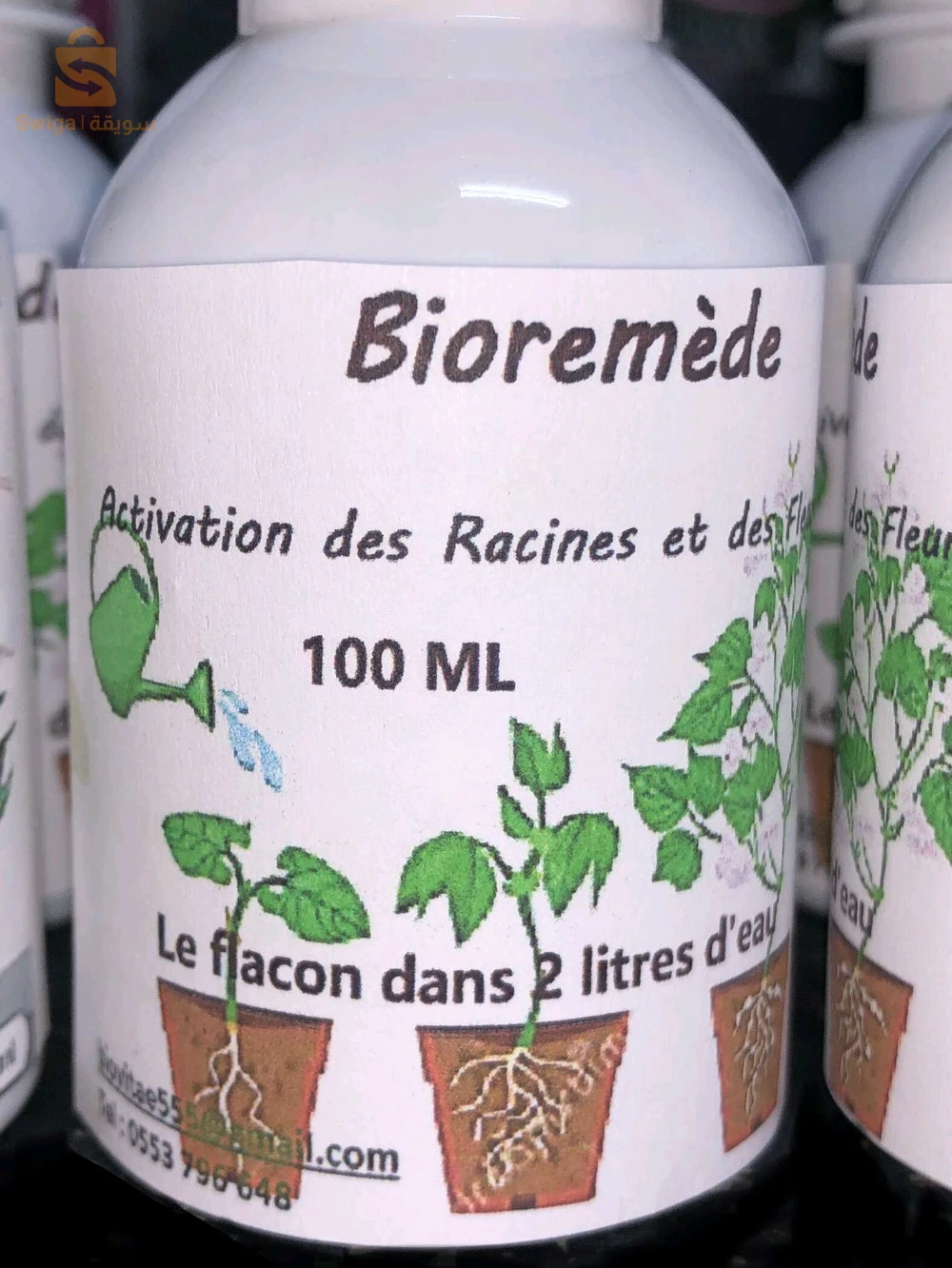 Bioremede des plantes