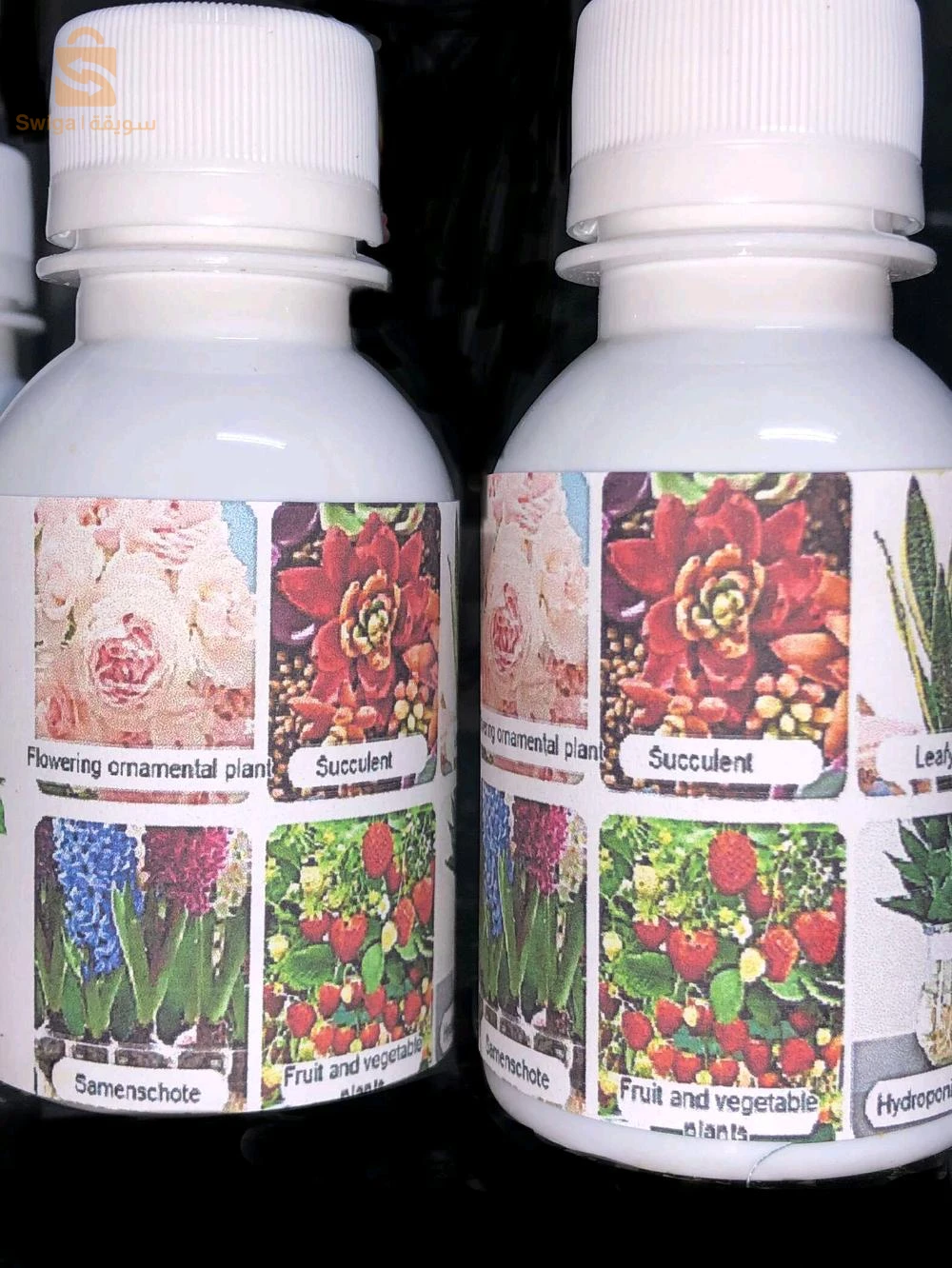 Bioremede des plantes