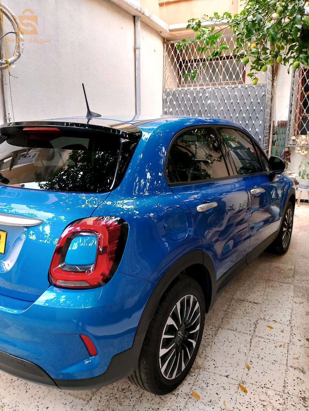 عنابة