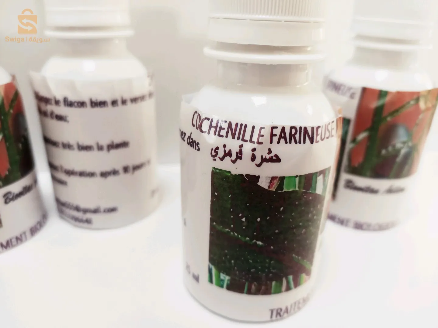 solution de la chlorelle pour renforcer les plantes malades et faibles, meilleure pour leur multiplication et des feuilles vertes.