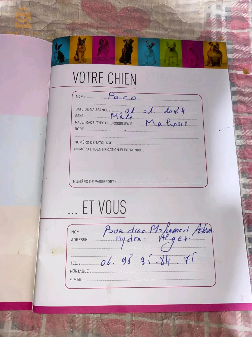 مالينوا ماسك نوار