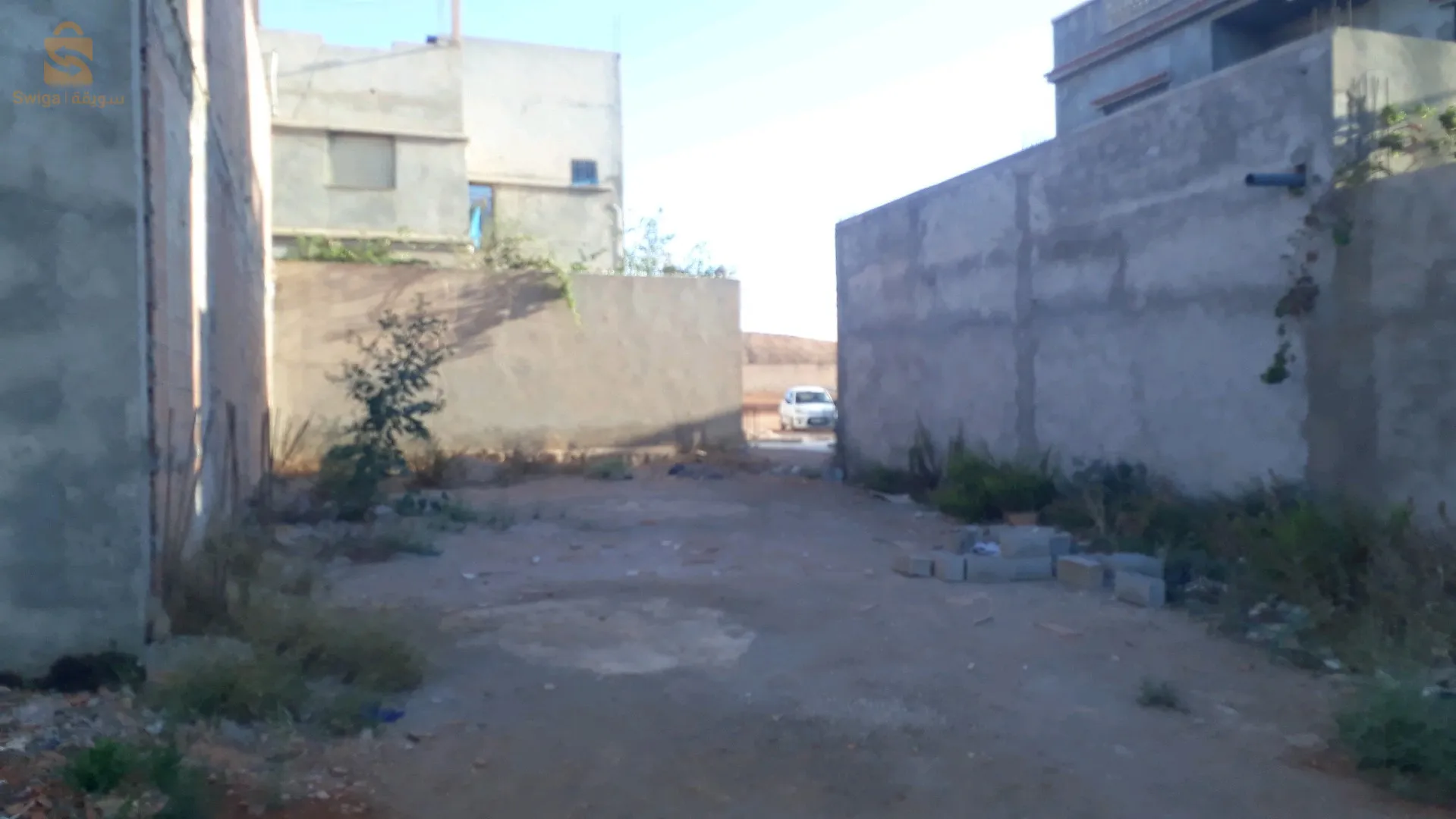 الرمشي