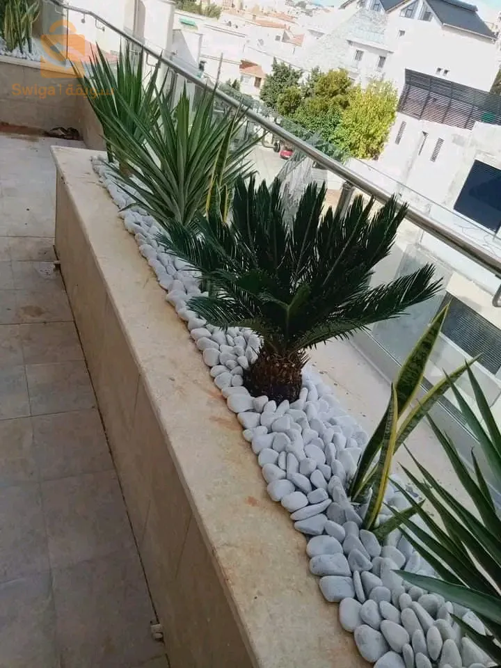مرحبا  👋 بكم