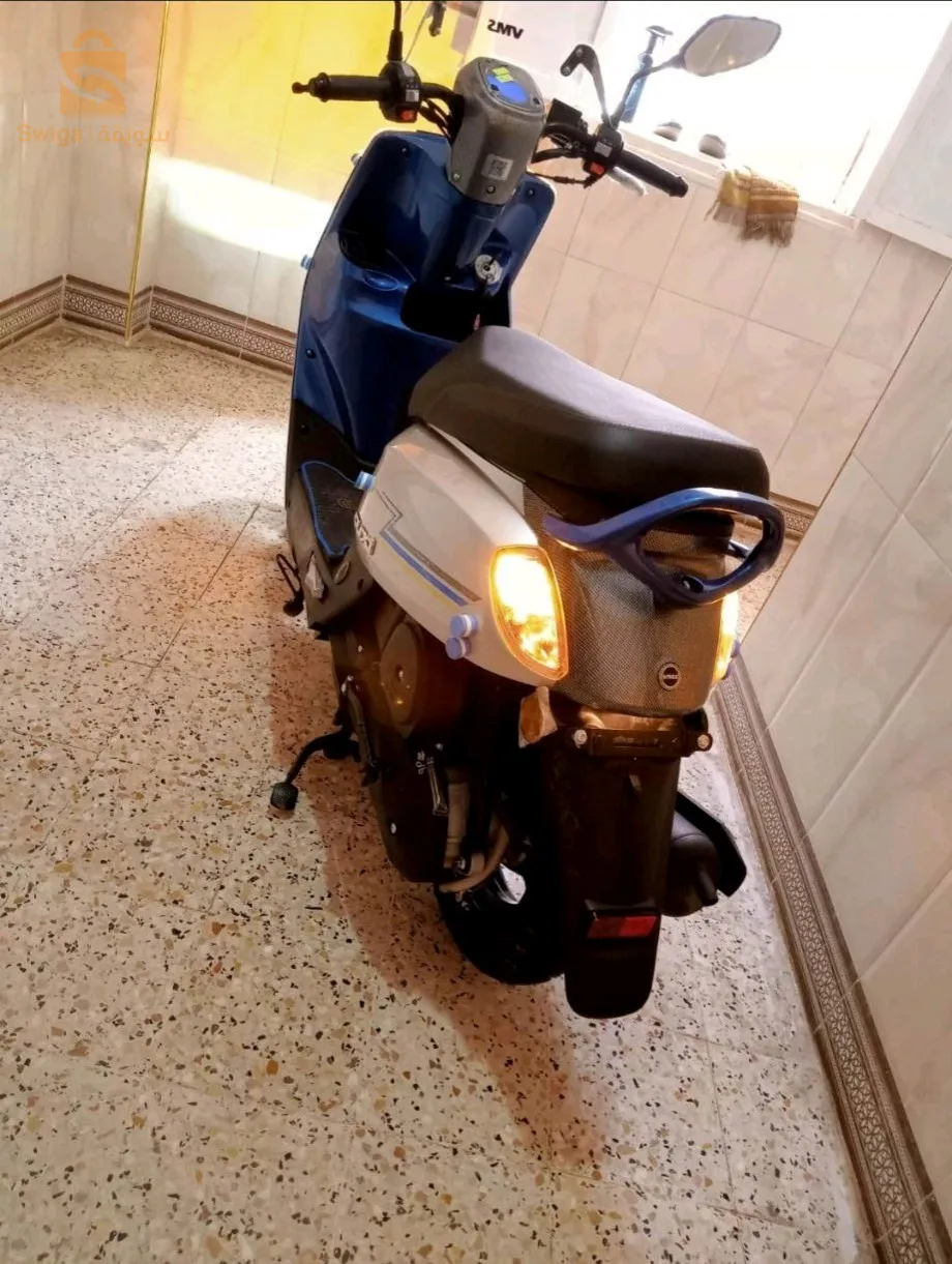 ولاية بسكرة دائرة زريبة الوادي