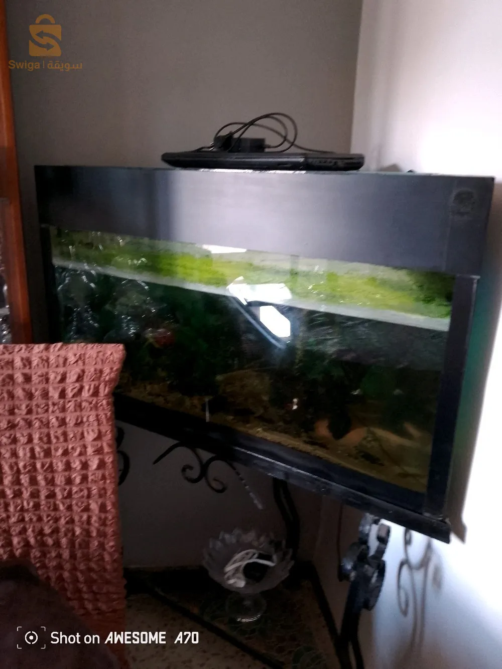 aquarium