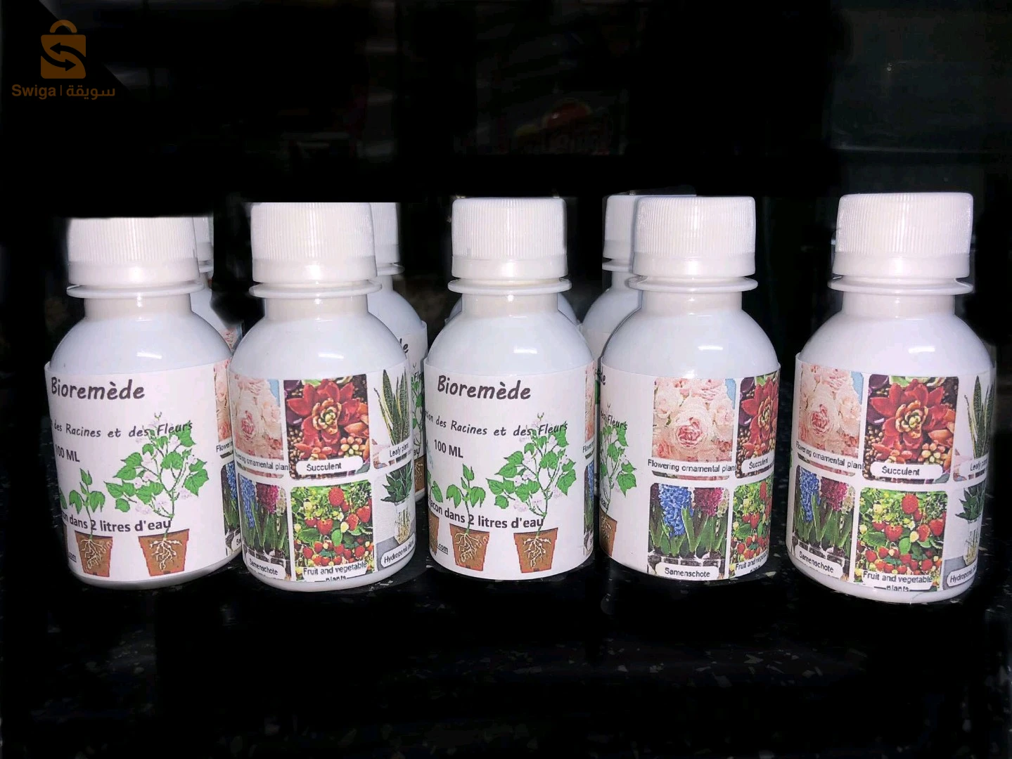 Bioremede des plantes