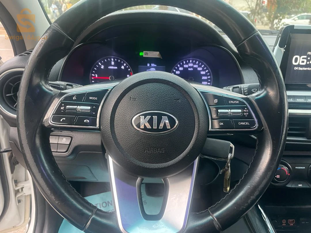 cerato