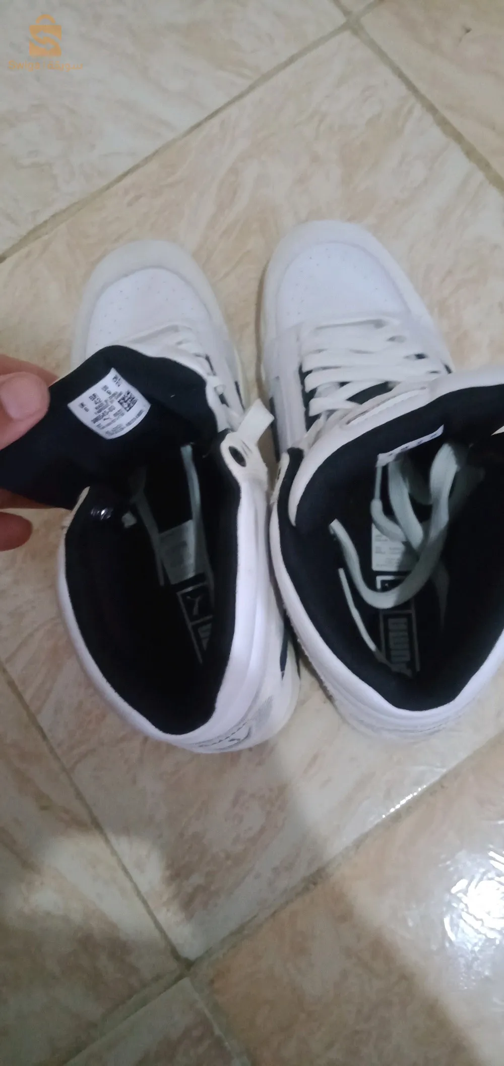 بين الويدان