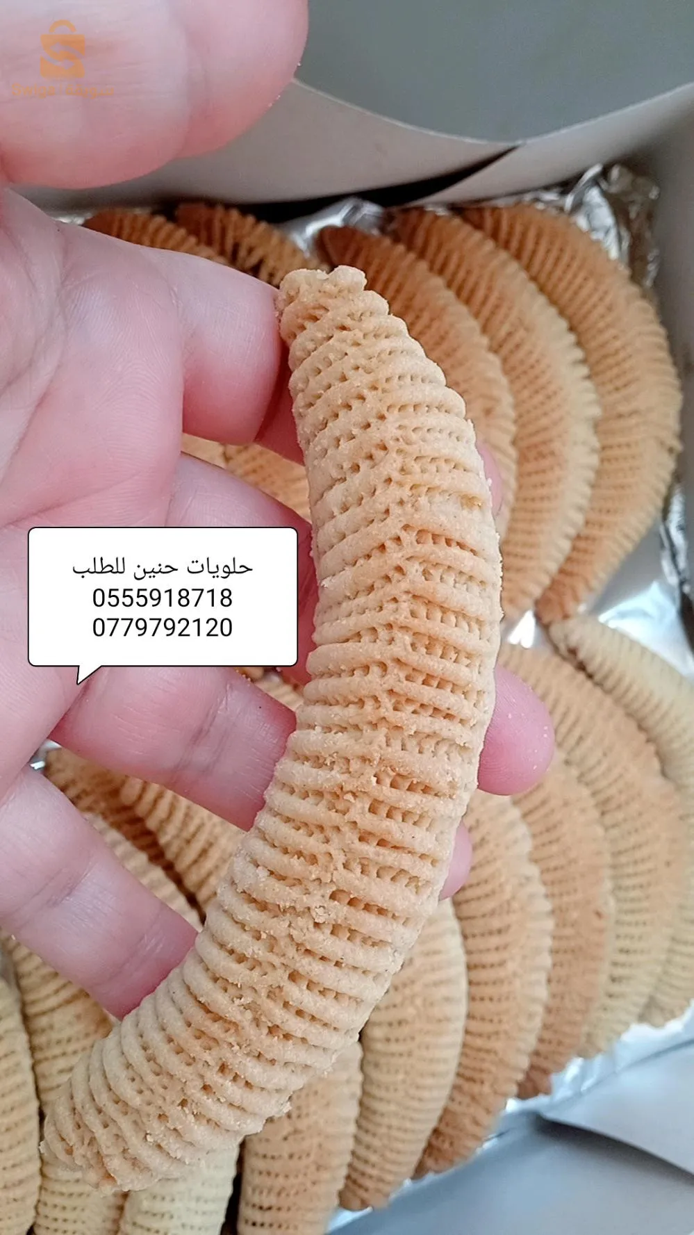 عين النعجة