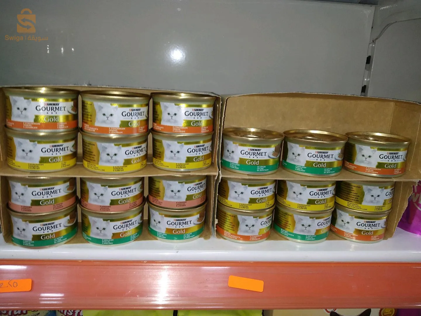 Animals kingdom is baaack