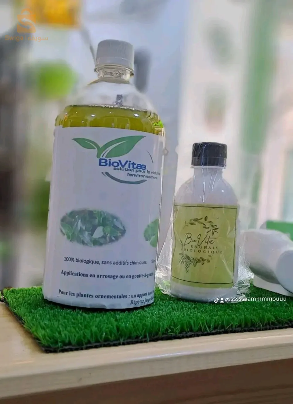 solution de la chlorelle pour renforcer les plantes malades et faibles, meilleure pour leur multiplication et des feuilles vertes.