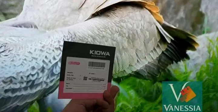 Téléviseur kiowa 32 Pouces simple