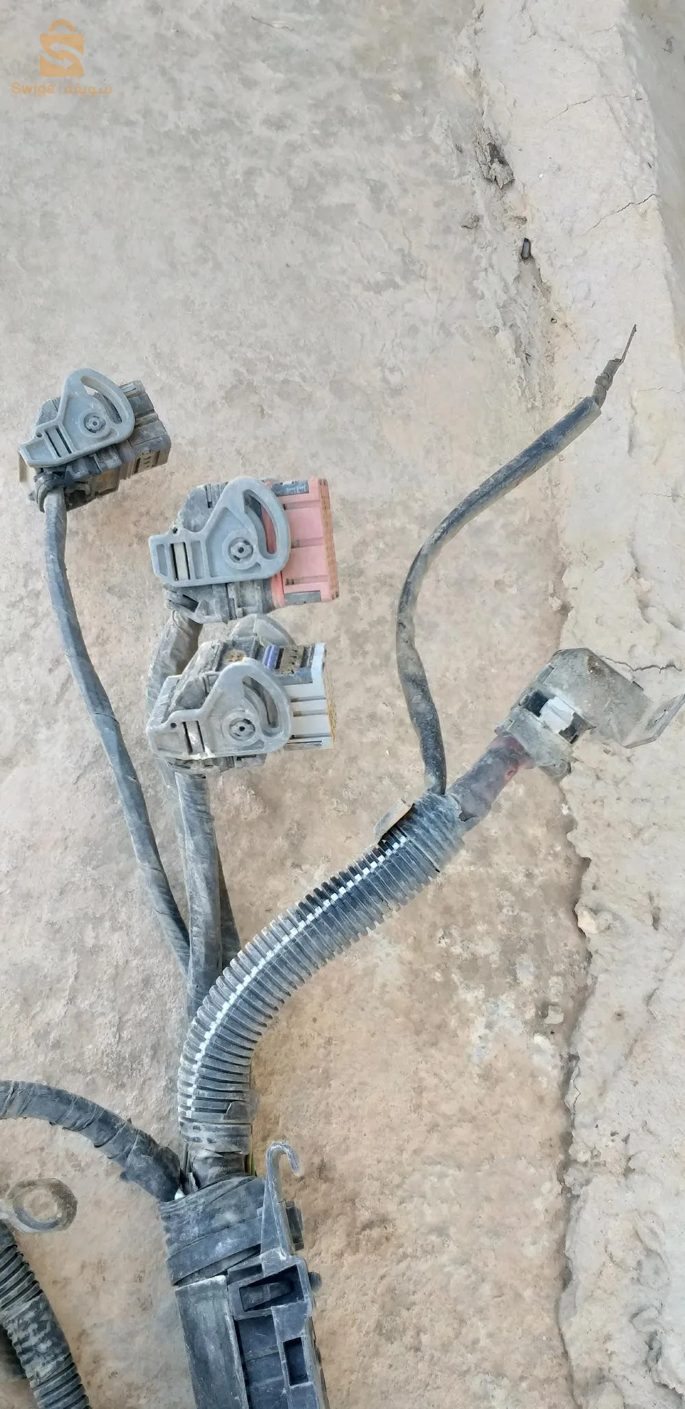 سطالاسيو 3 فيش  كليو2 و كونقو 1.5 dci