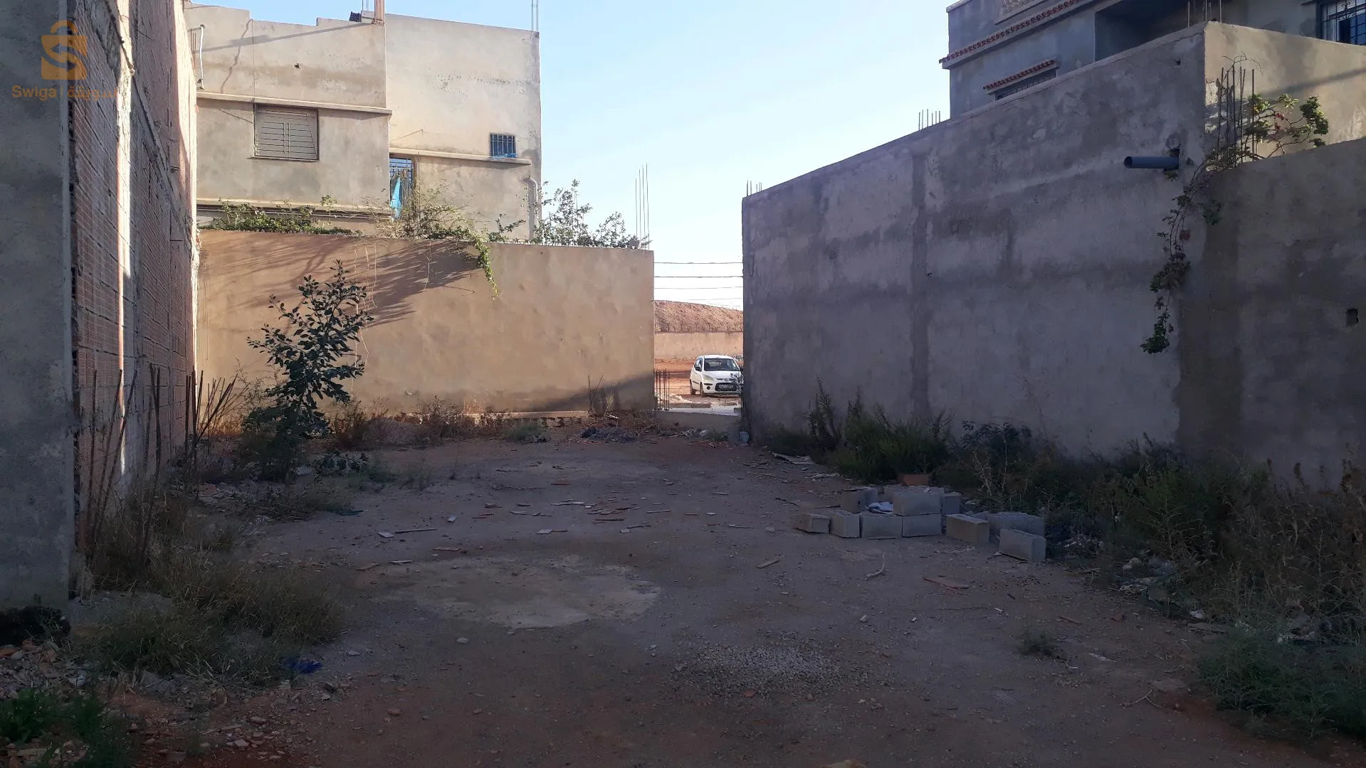 الرمشي