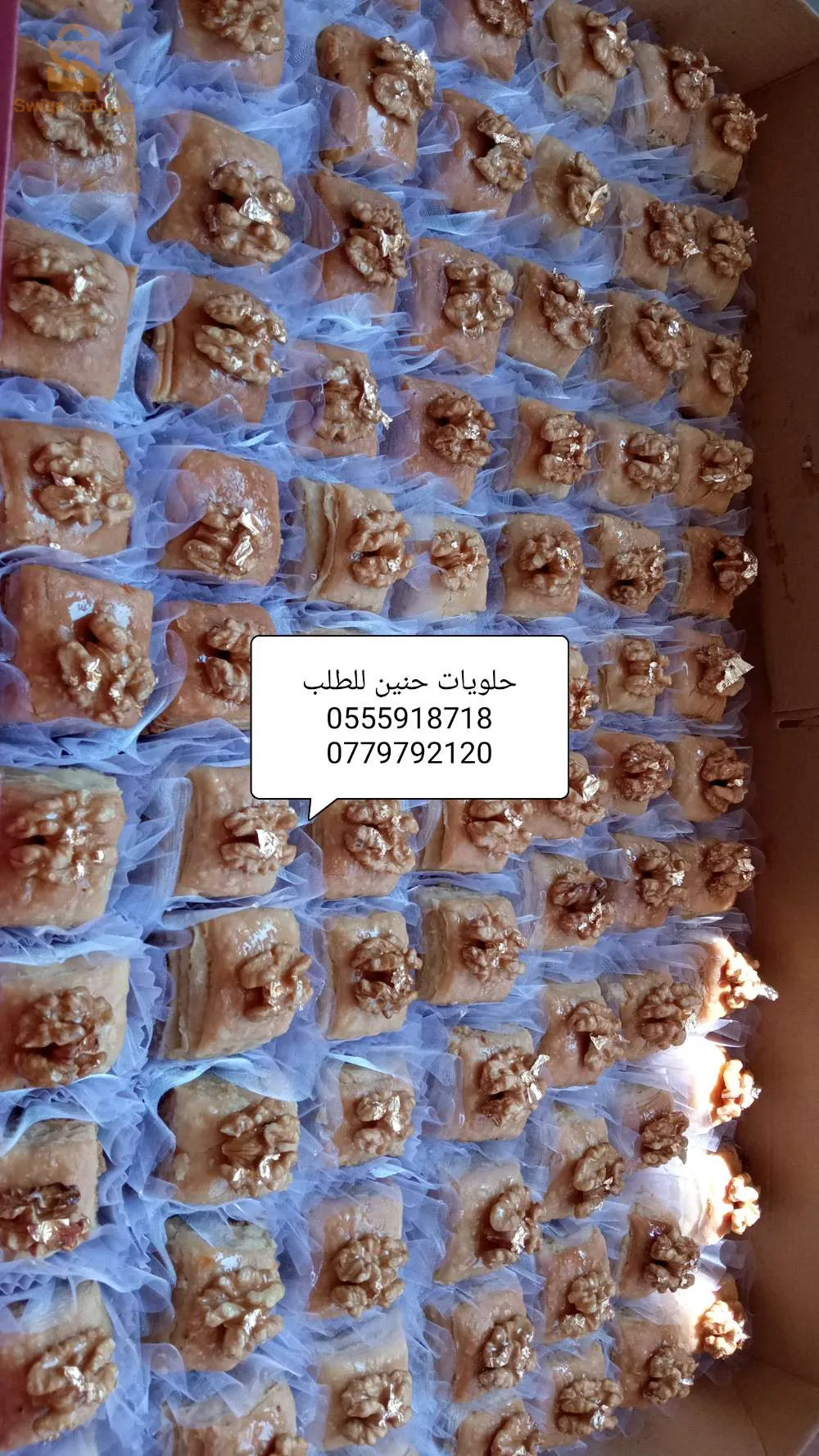 عين النعجة