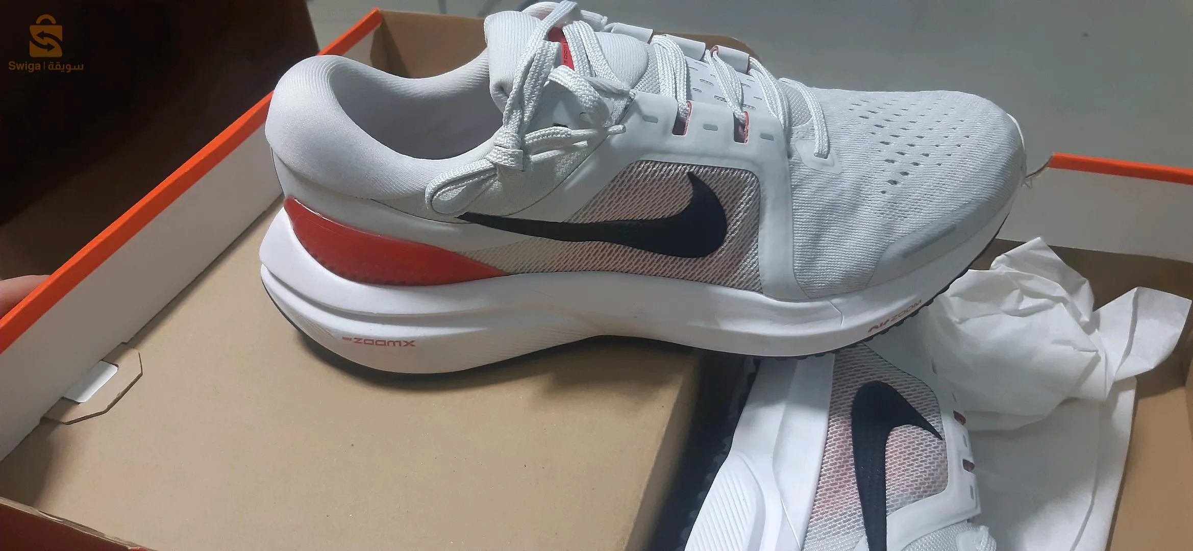 درارية الجزائر