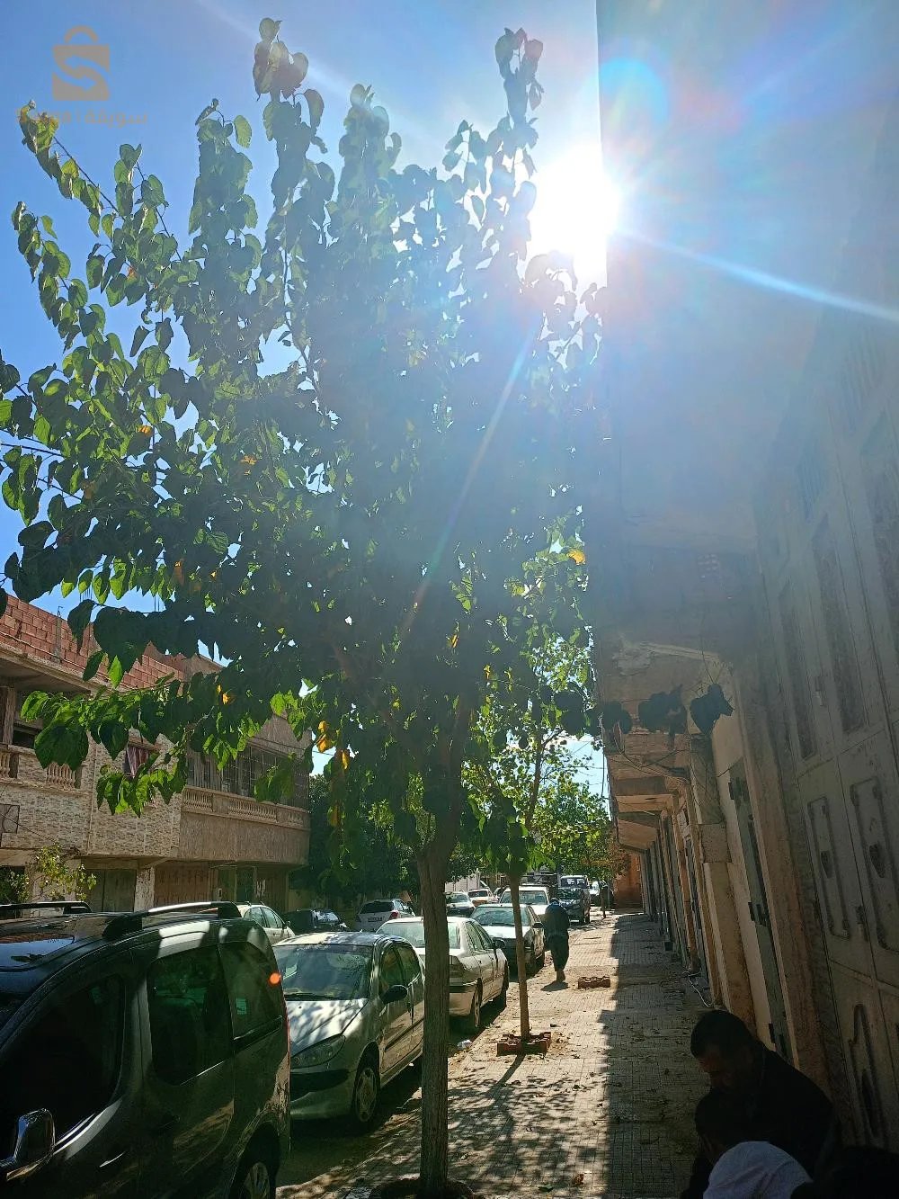 بلدية اولاد بوغالم ولاية مستغانم