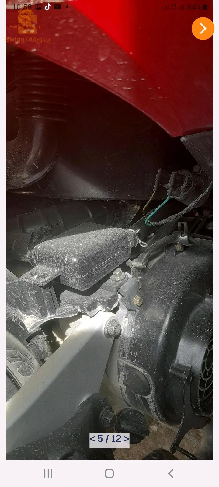 سيم اس ر مشاء الله للبيع ماشية 18800 راهي في العلمة رقم الهاتف 0698058016