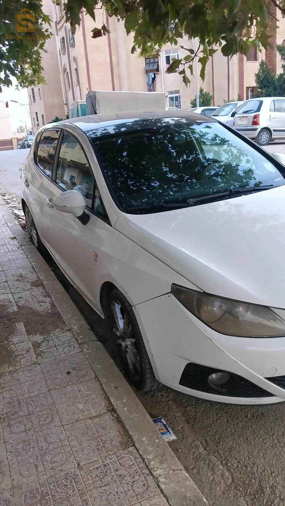 المدية