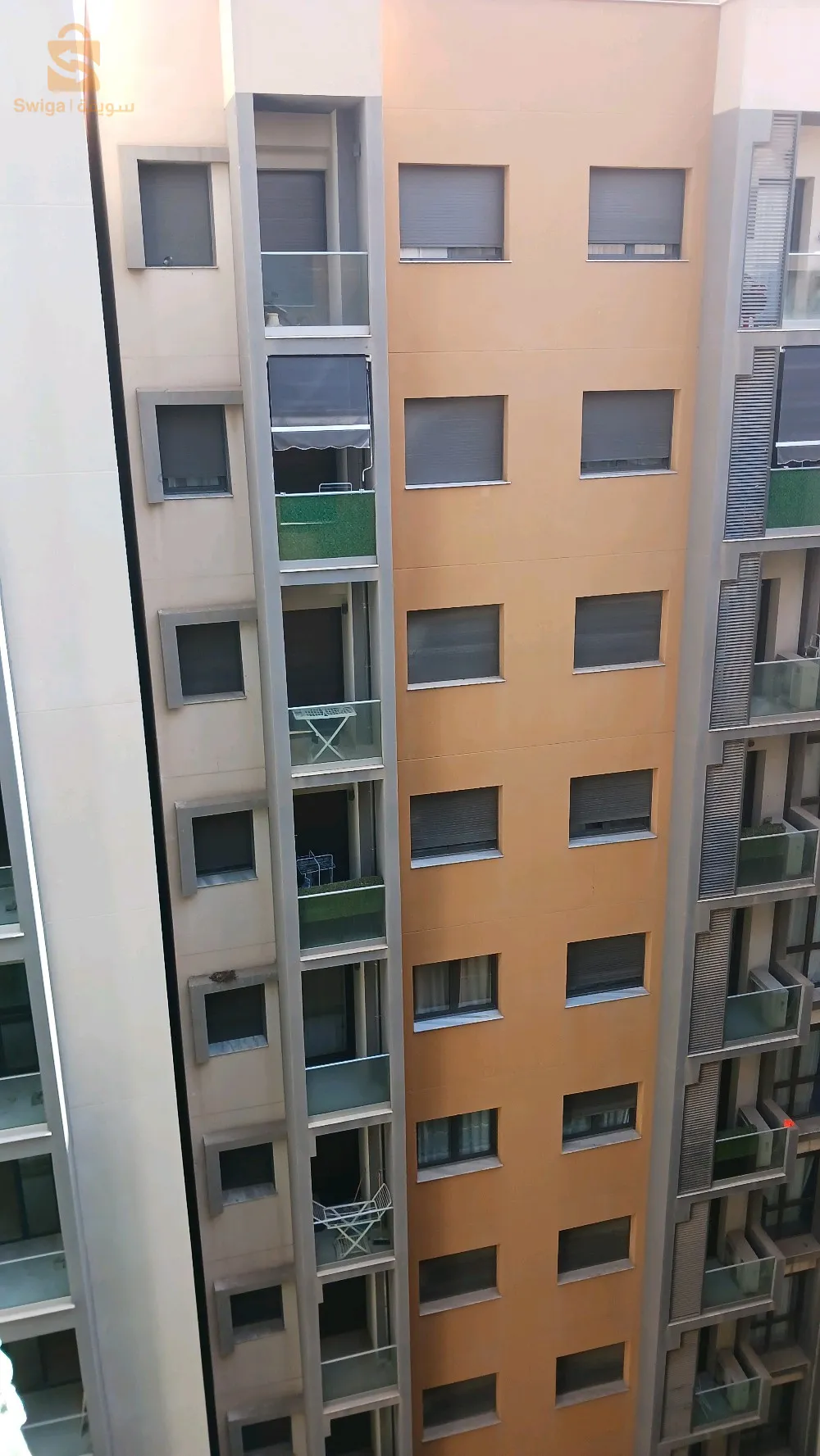الجزائر