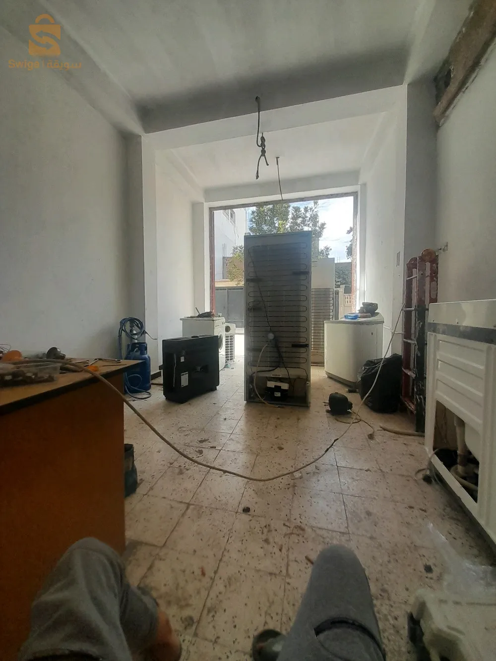 الخروب ماسينيسا