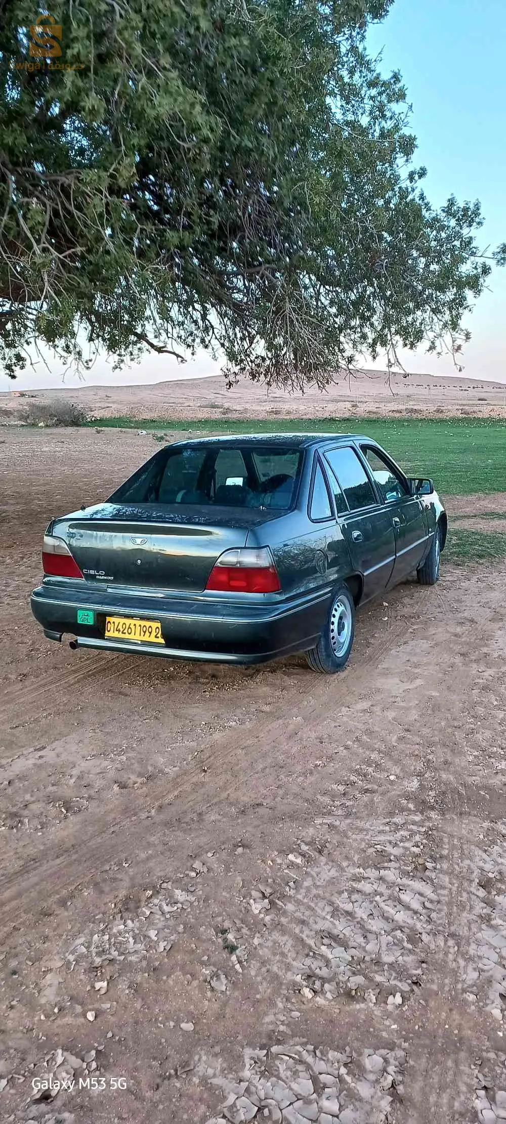 المسيلة