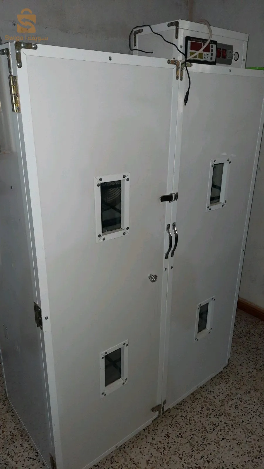 فقاسة بيض
