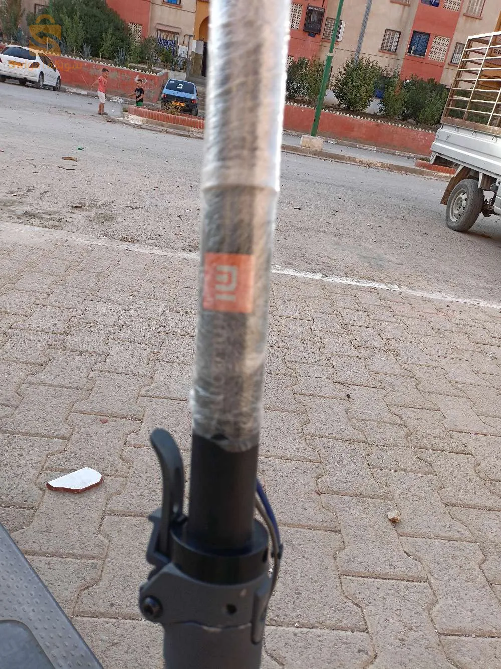 Troutina Elquétrique