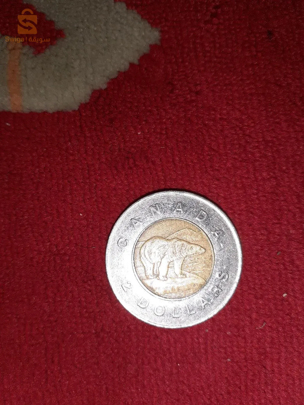 عملة نقدية كندية