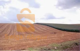 بلدية حاسي دحو