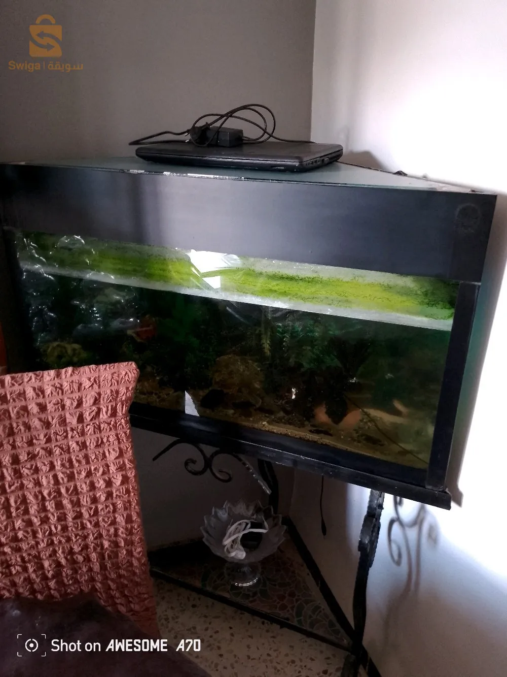 aquarium