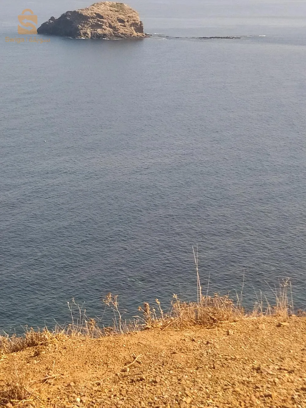 حي البلح تيبازة