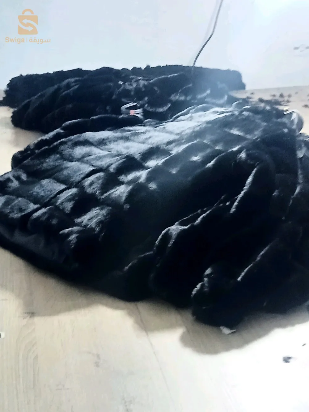 كاليتوس الجزائر