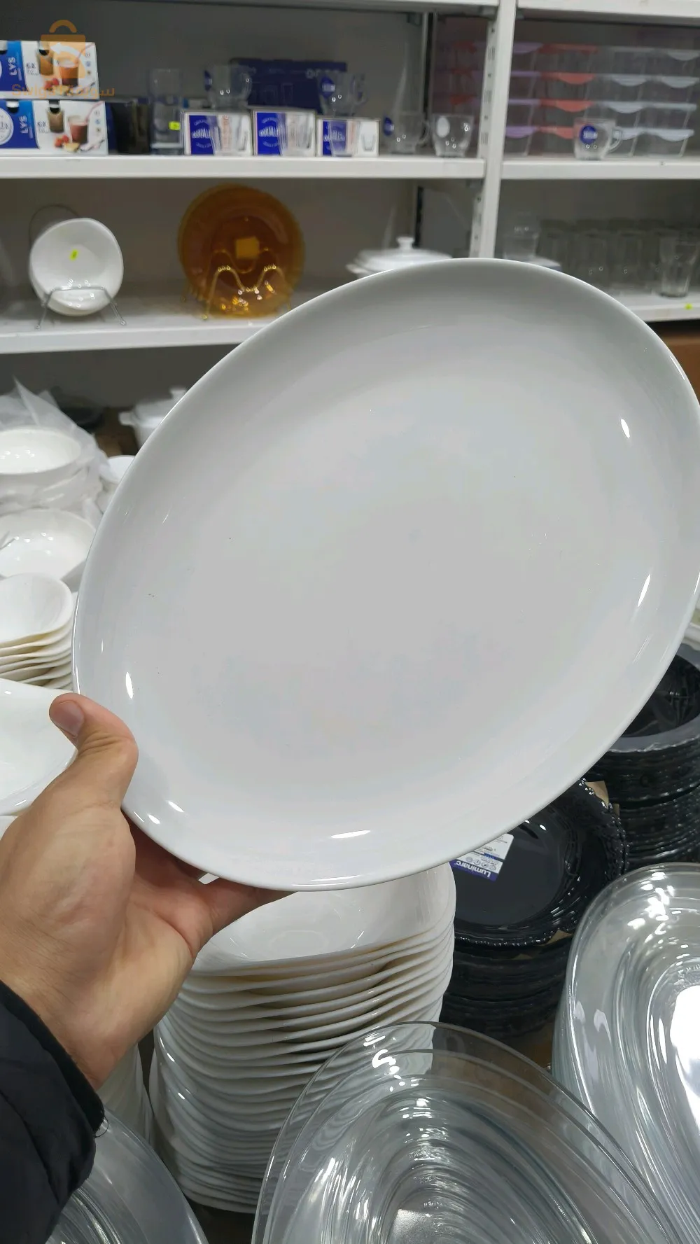 oval plate