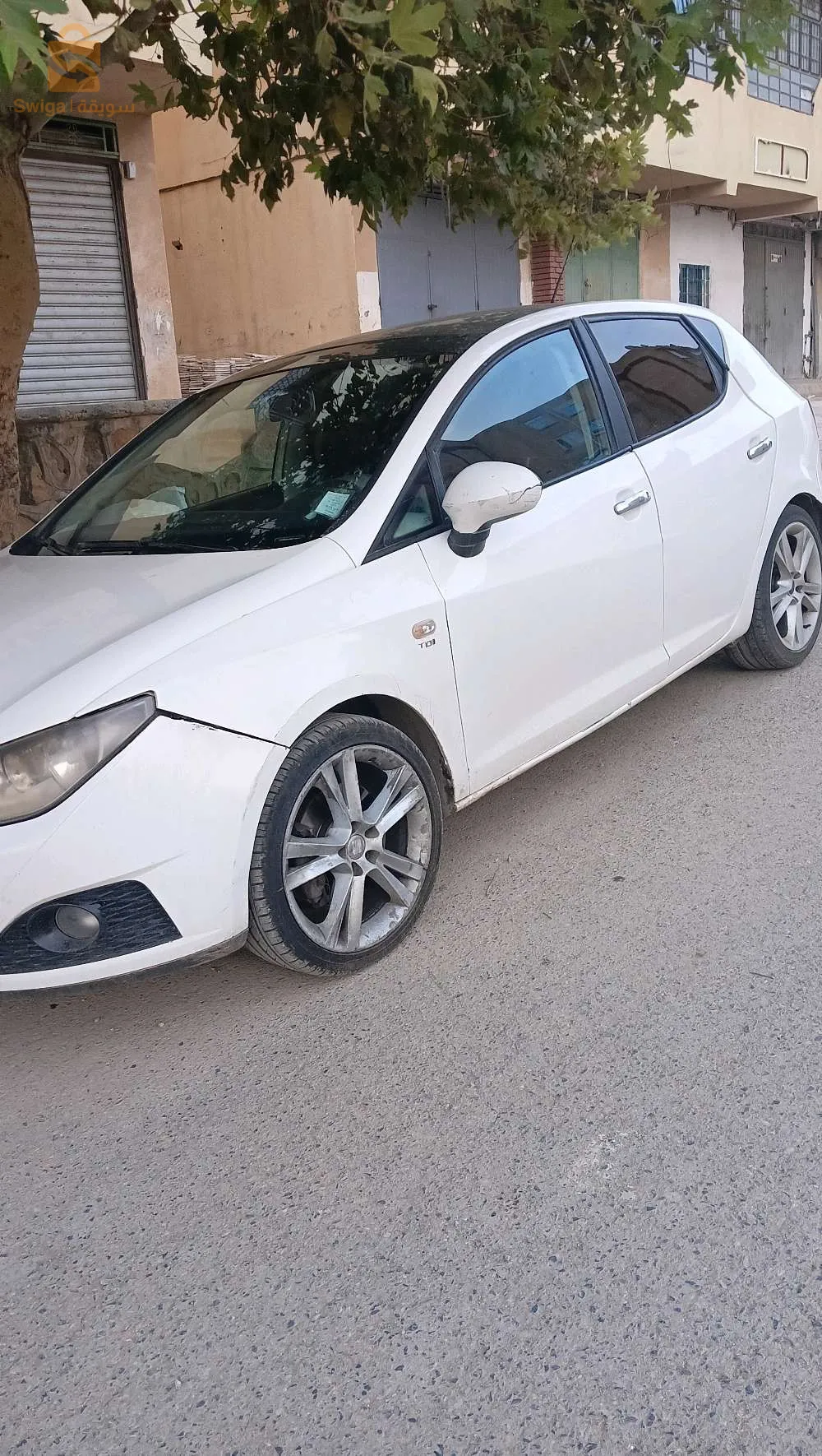 المدية