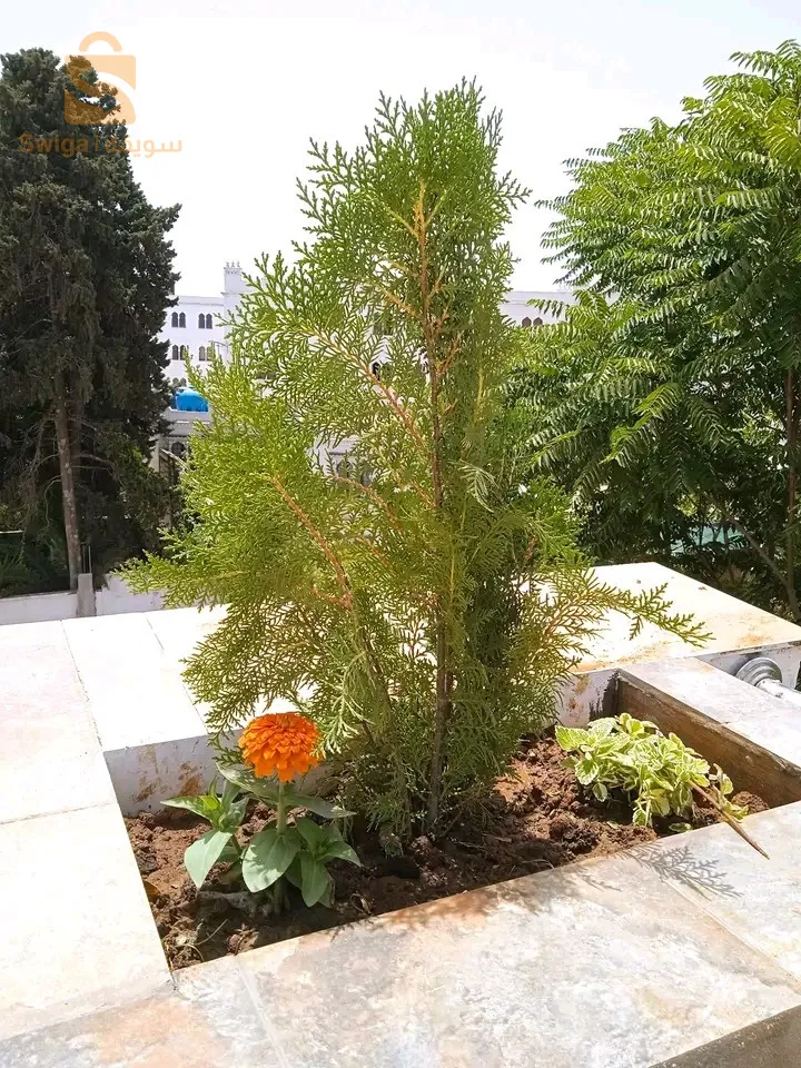 مرحبا  👋 بكم