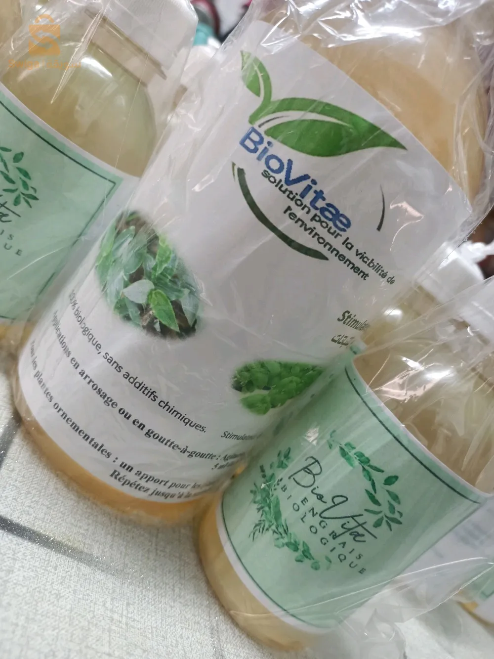 solution de la chlorelle pour renforcer les plantes malades et faibles, meilleure pour leur multiplication et des feuilles vertes.