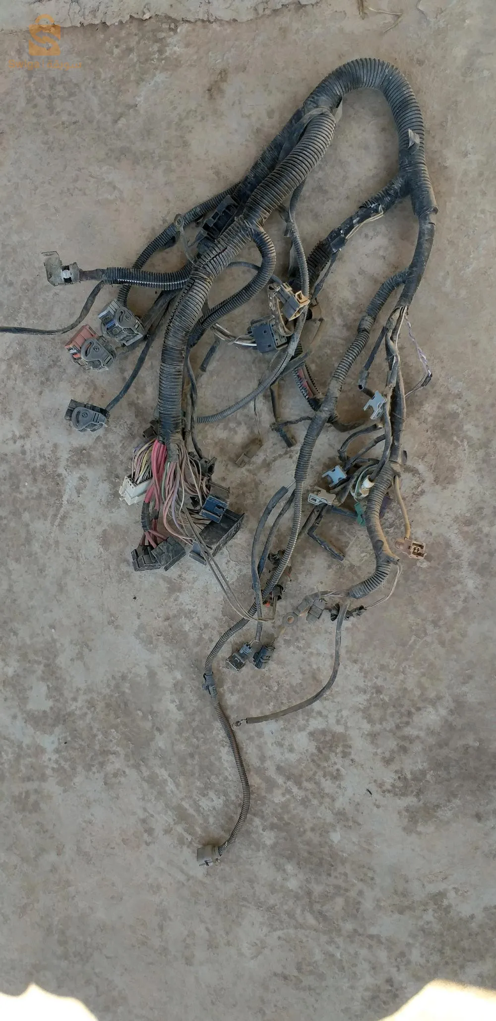 سطالاسيو 3 فيش  كليو2 و كونقو 1.5 dci